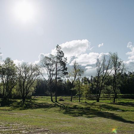 "Gaujmale" Sauna House In Nature Laukbeitini 外观 照片