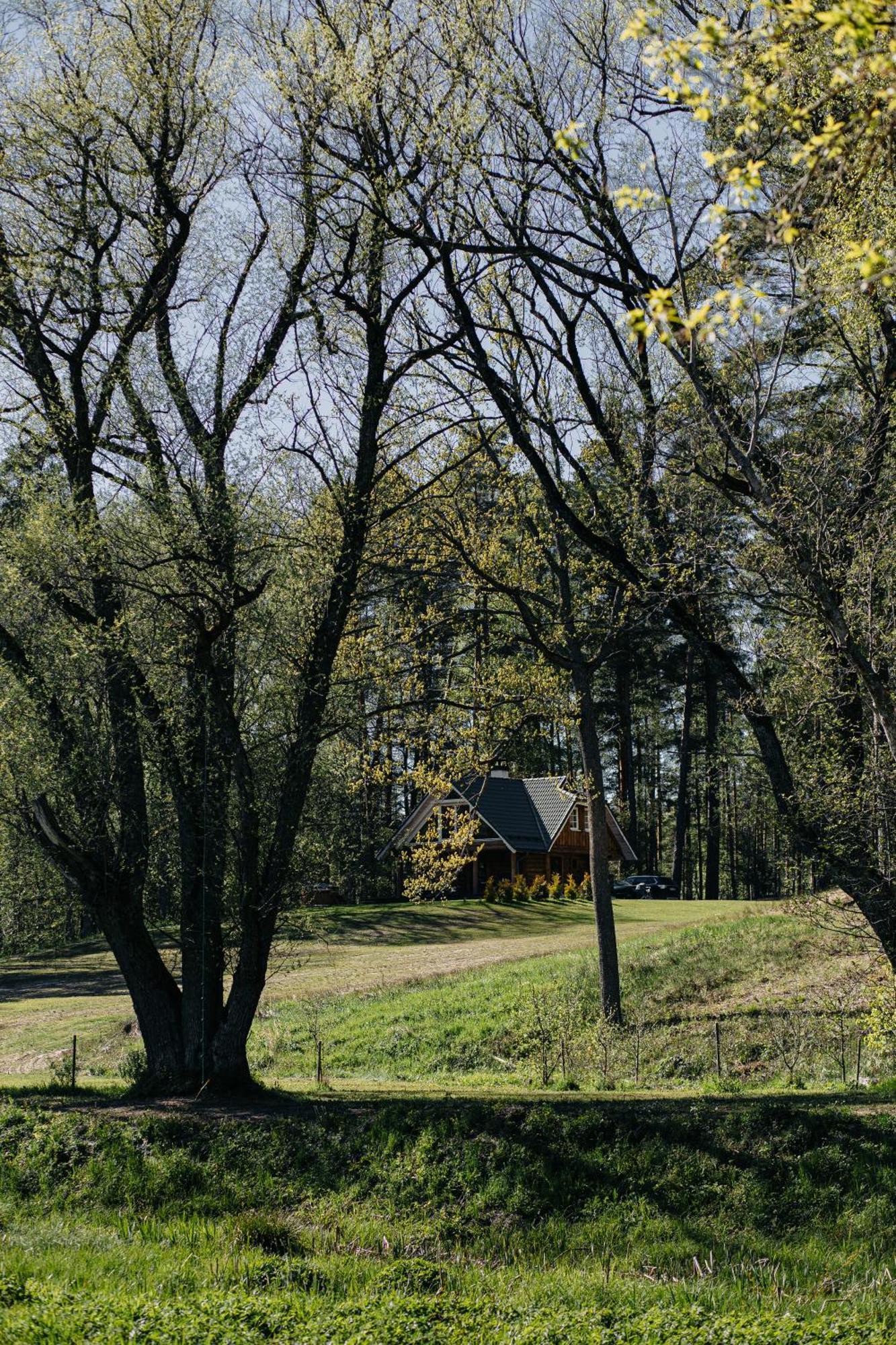 "Gaujmale" Sauna House In Nature Laukbeitini 外观 照片