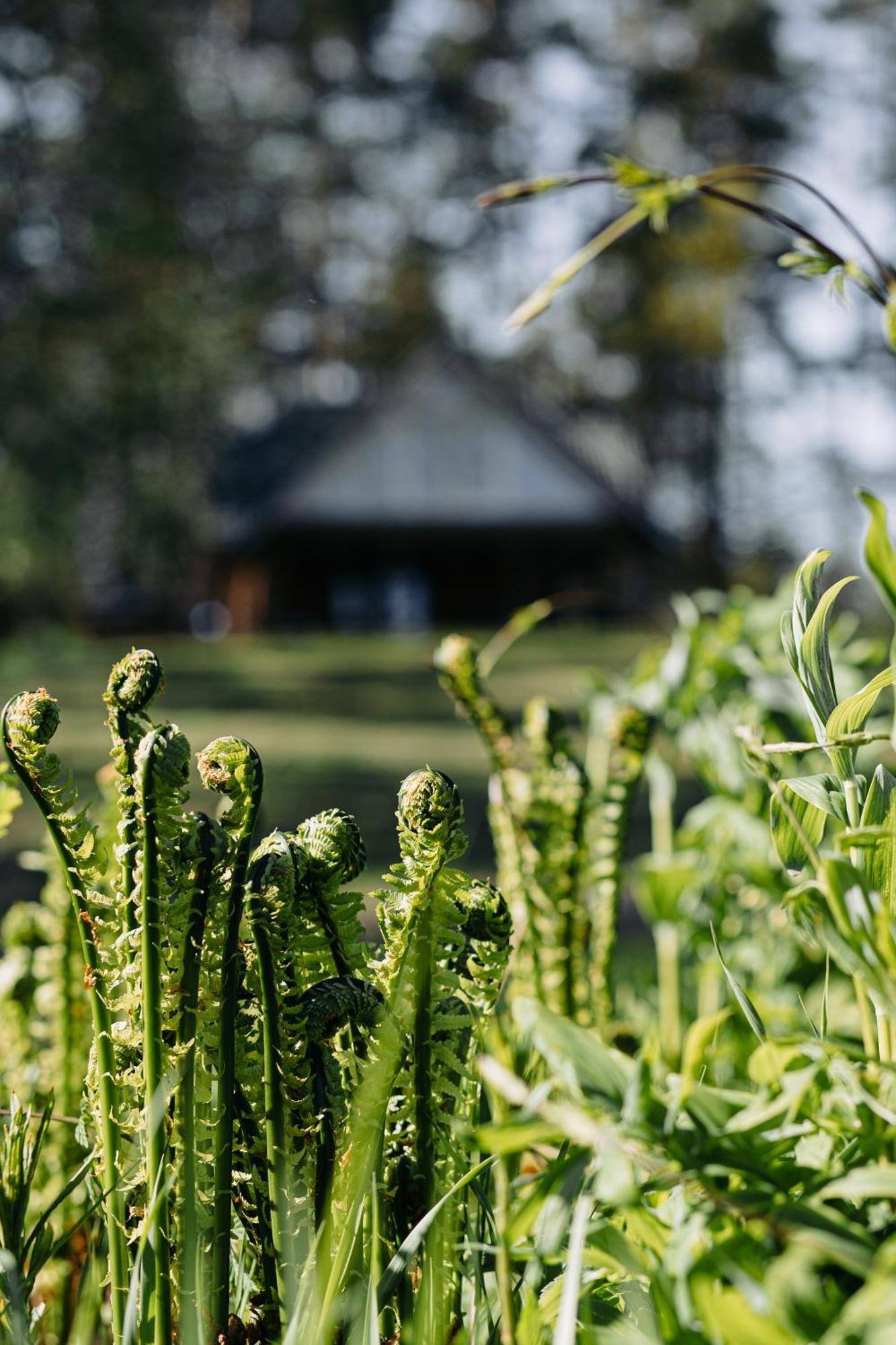 "Gaujmale" Sauna House In Nature Laukbeitini 外观 照片